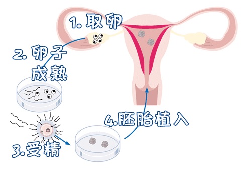 代生男孩机构
